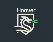 hoover dragon